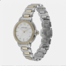 Emporio Armani Mia Quartz Mother of Pearl Dial Two Tone Steel Strap Watch For Women - AR11524